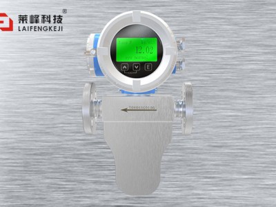 科里奧利質量流量計 LF-CT常規(guī)型圖片1